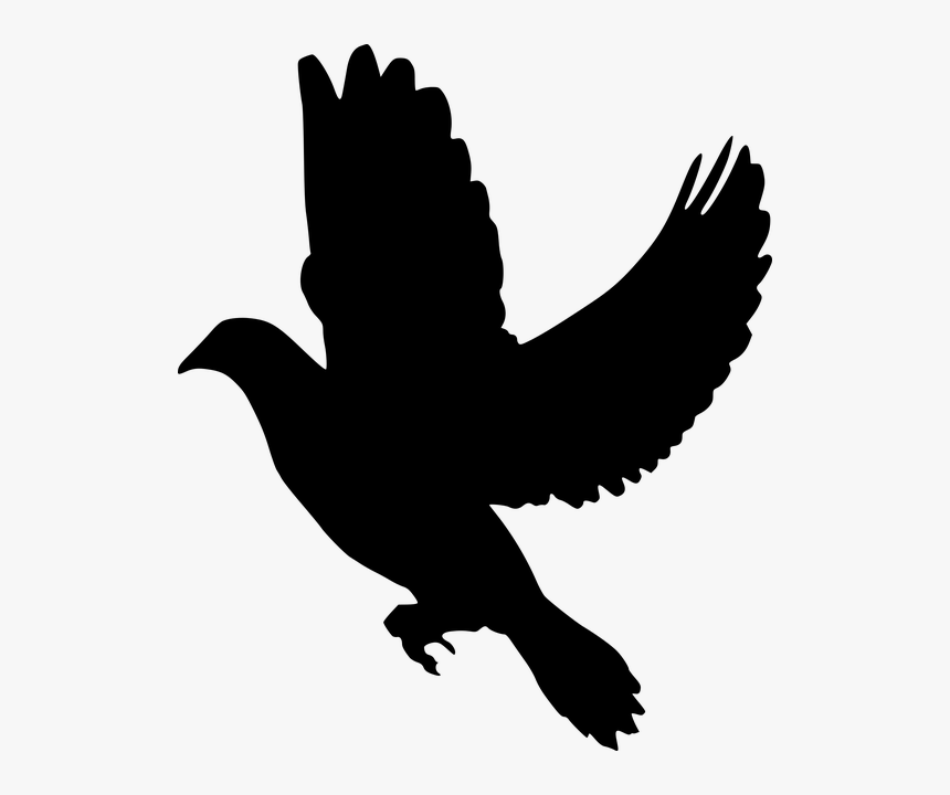 Silhouette, Peace, Dove, Flying, Olive, Branch, Symbol - Black Dove Clipart, HD Png Download, Free Download