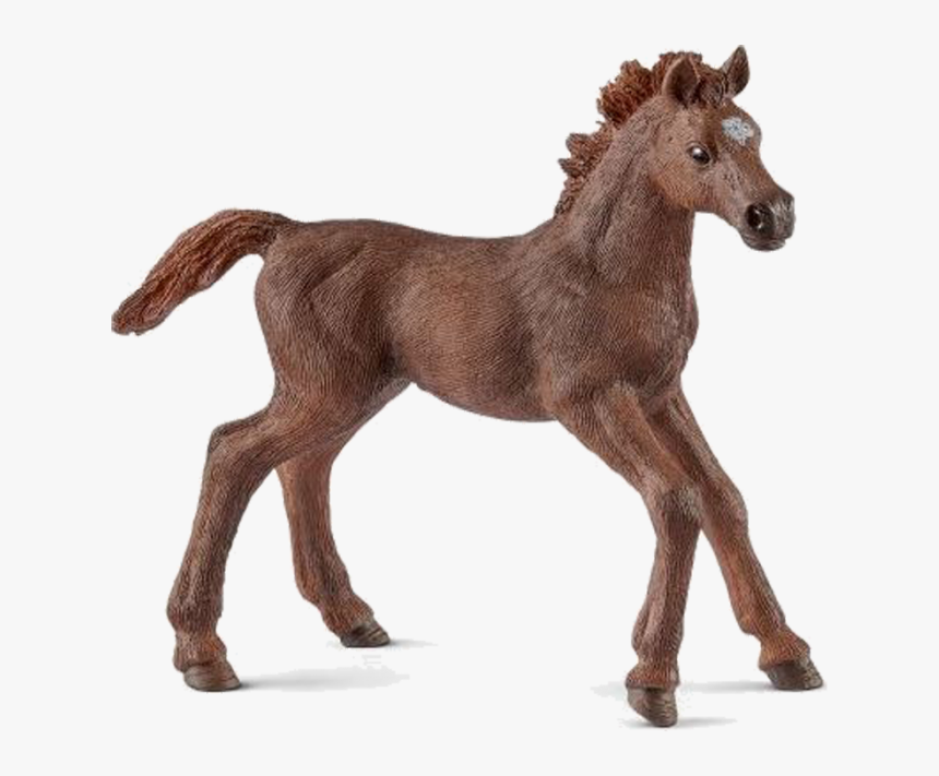 Thoroughbred Schleich Horse Foal, HD Png Download, Free Download