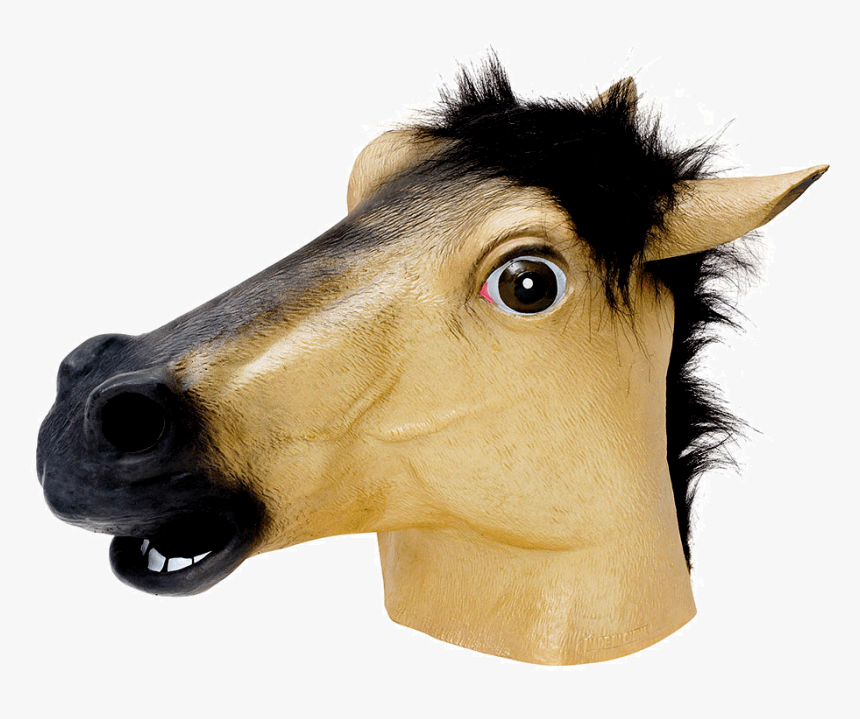 Horse Face With Transparent, HD Png Download, Free Download