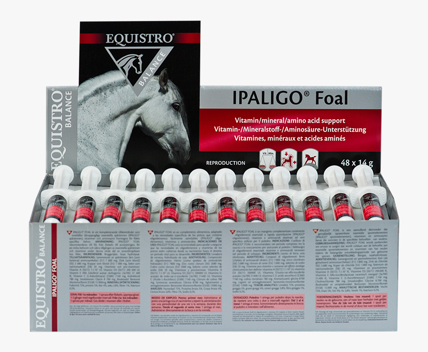 Ipaligo Foal, HD Png Download, Free Download