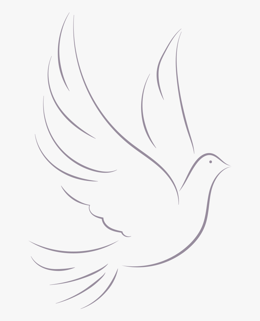 Dove - Sketch, HD Png Download, Free Download