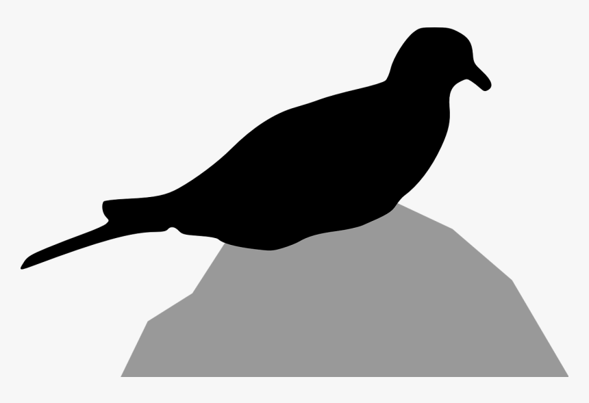Transparent Dove Silhouette Png - Pigeons And Doves, Png Download, Free Download