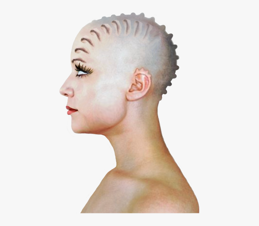 Transparent Bald Head Png - Bust, Png Download, Free Download