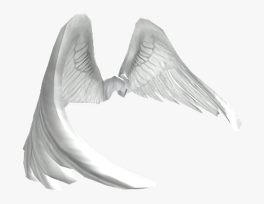 #angel #anjo #wings #asas #mikah014 - Imagens De Asas De Anjo Png Picsart, Transparent Png, Free Download