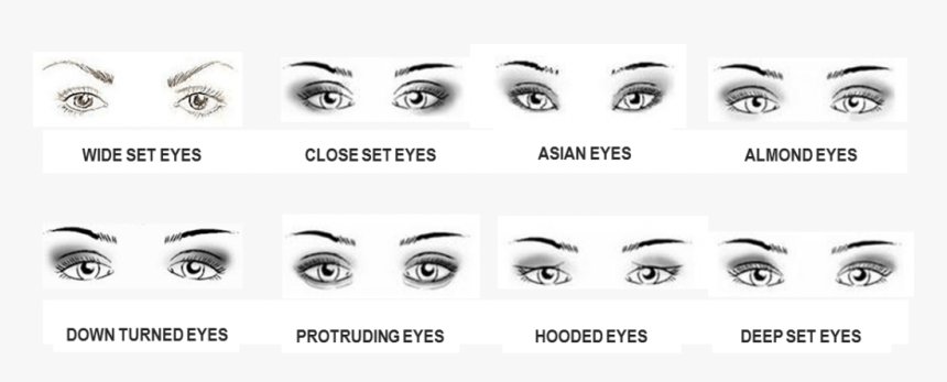 Какие есть формы глаз. Типы глаз. Формы глаз. Формы глаз человека. Типы глаз и макияж.
