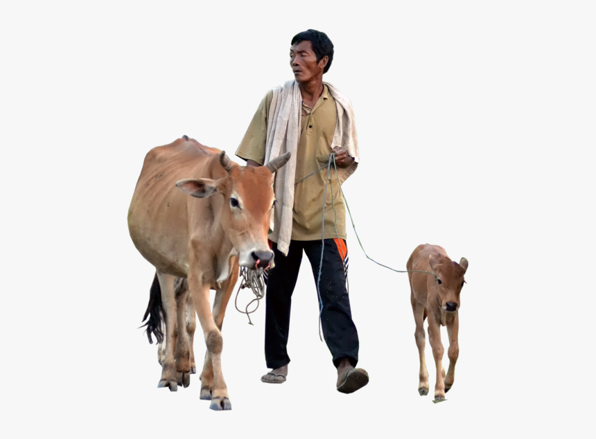 Picsart Cow And Farmer Png, Transparent Png, Free Download