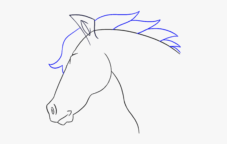 How To Draw Horse Head - Mane, HD Png Download, Free Download