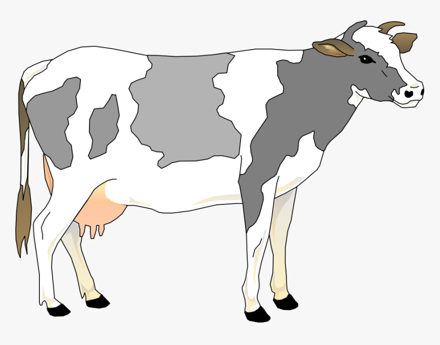 Cow Png Clipart - Grey And White Cow, Transparent Png, Free Download