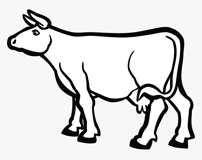 Transparent Baby Cow Png - Cow Cartoon Black And White, Png Download - kindpng Transparent Baby Cow Png - Cow Cartoon Black And White, Png Download - kindpng