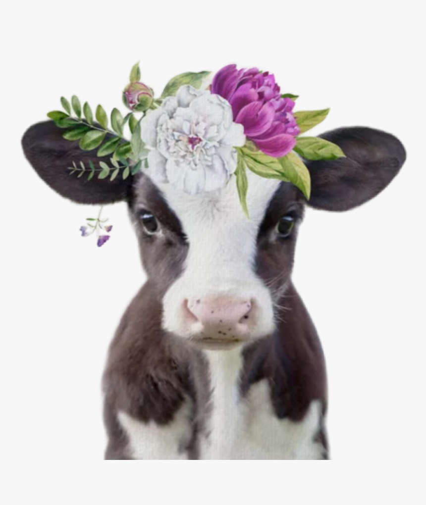 #watercolor #babycow #calf #cow #flowers #farmanimals - Cow With Flower Crown, HD Png Download, Free Download