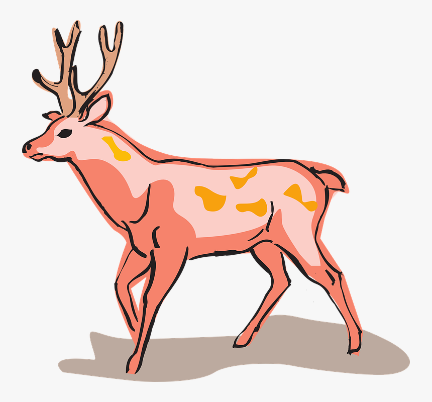 Red Deer Style Wild Animal Unusual - Red Deer Easy Drawing, HD Png Download, Free Download