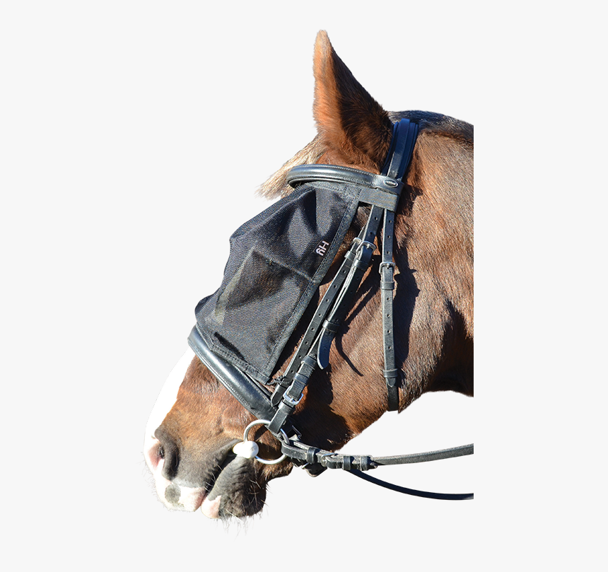 Ride On Fly Mask, HD Png Download, Free Download