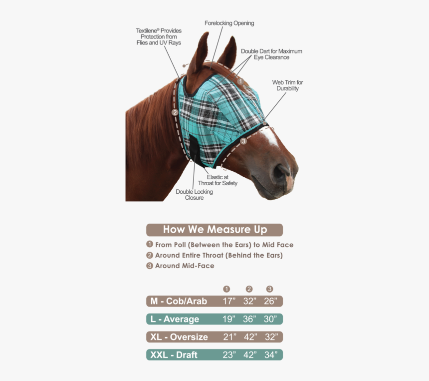 Fly Mask With Web Trim"

 
 Data Rimg="lazy"
 Data - Measure A Horse For A Fly Mask, HD Png Download, Free Download