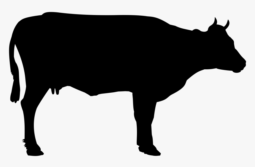 Cow 999px Black And White Animals Cow - Cow Black And White Png, Transparent Png, Free Download