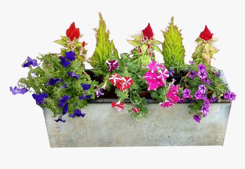 Concrete Planter Flowers No Background Png Image - Window Flower Boxes Png, Transparent Png, Free Download