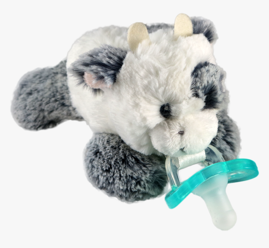 Razbuddy Paci Holder - Razbaby, HD Png Download, Free Download