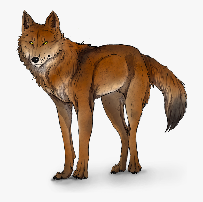 Ginger And White Wolf, HD Png Download, Free Download