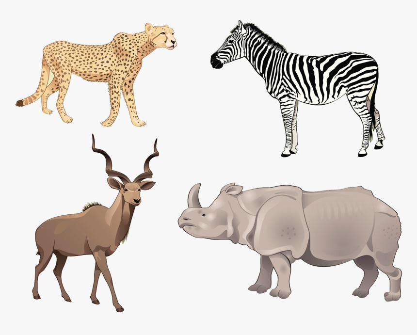 Vector Animals Wild Animal - Grassland Animals Clipart, HD Png Download, Free Download