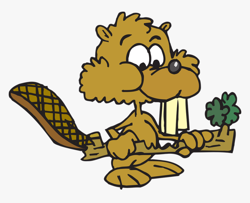 Food, Beaver, Eating, Animal, Twig - Beaver Eating Wood Cartoon, HD Png Download, Free Download