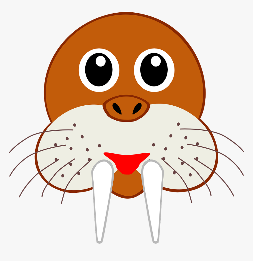 Walrus Head Png, Transparent Png, Free Download