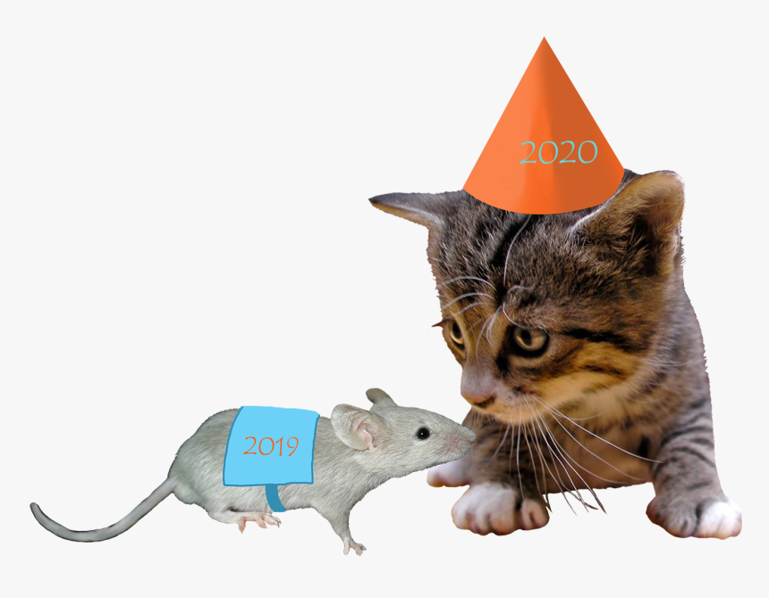 2018 Cat And 2017 Mouse - Cat, HD Png Download, Free Download