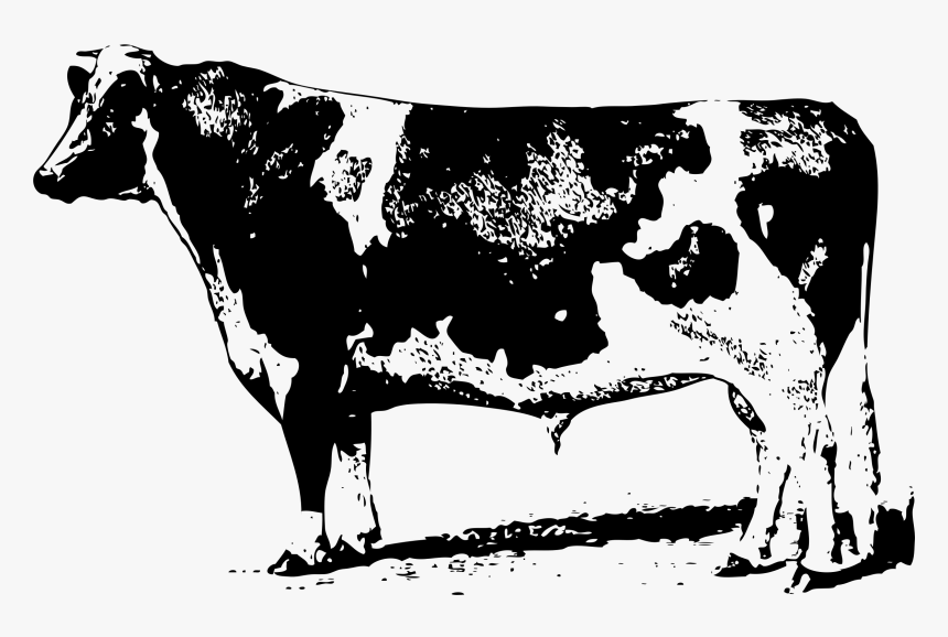 Cow Drawing Png Transparent - Cow Drawing Transparent, Png Download, Free Download