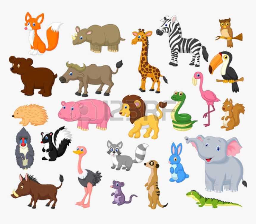 clipart and jungle animals and free