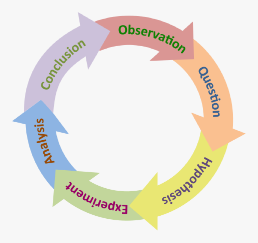 Scientific method. Scientific research methodology. Логотип bem methodology. Observation is a Scientific.