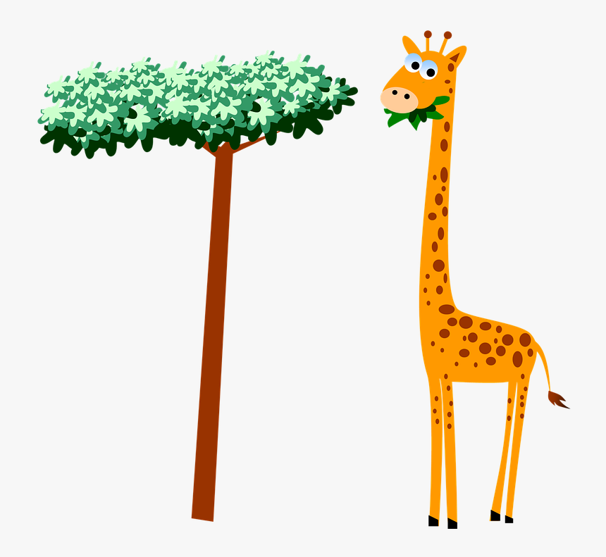 Giraffe Clipart Black And White, Giraffe Face Clipart, - Giraffe Eating Leaves Clipart, HD Png Download, Free Download