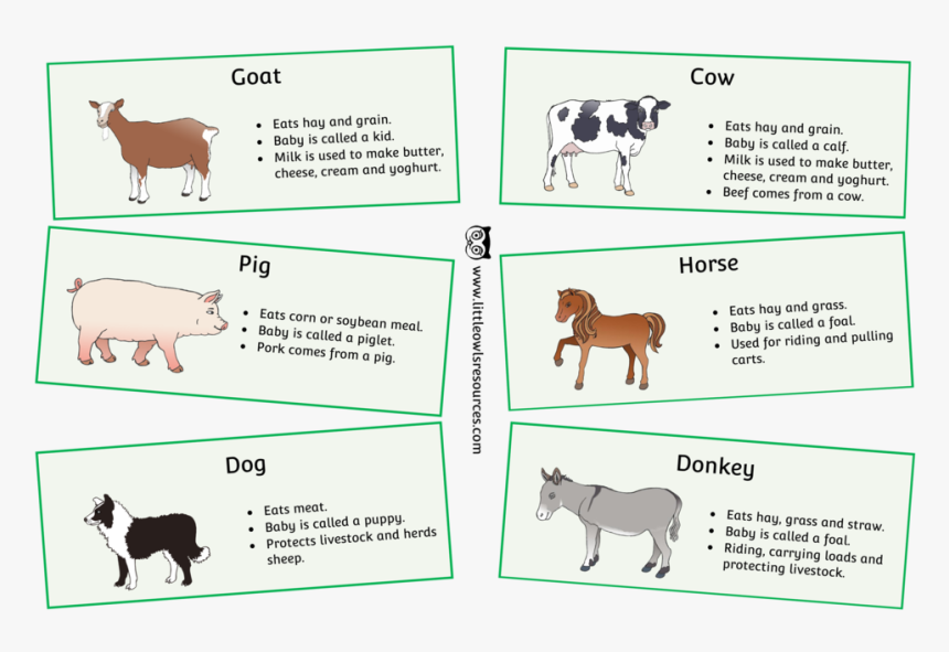 Farm Animals Fact Cards Cover - Preschool Farm Animals Facts, HD Png Download, Free Download