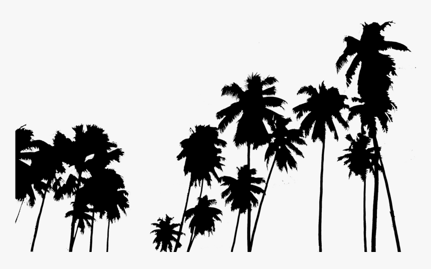 Palm Trees, HD Png Download, Free Download