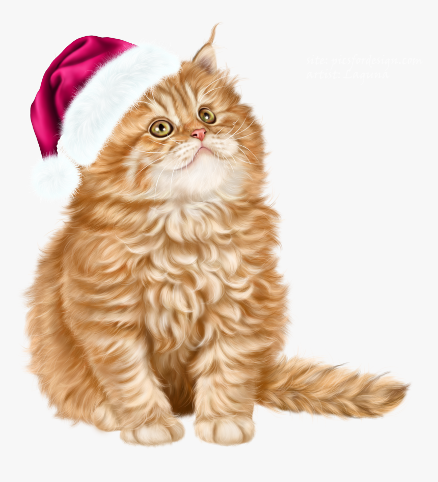 Kitty Transparent Bg, HD Png Download, Free Download