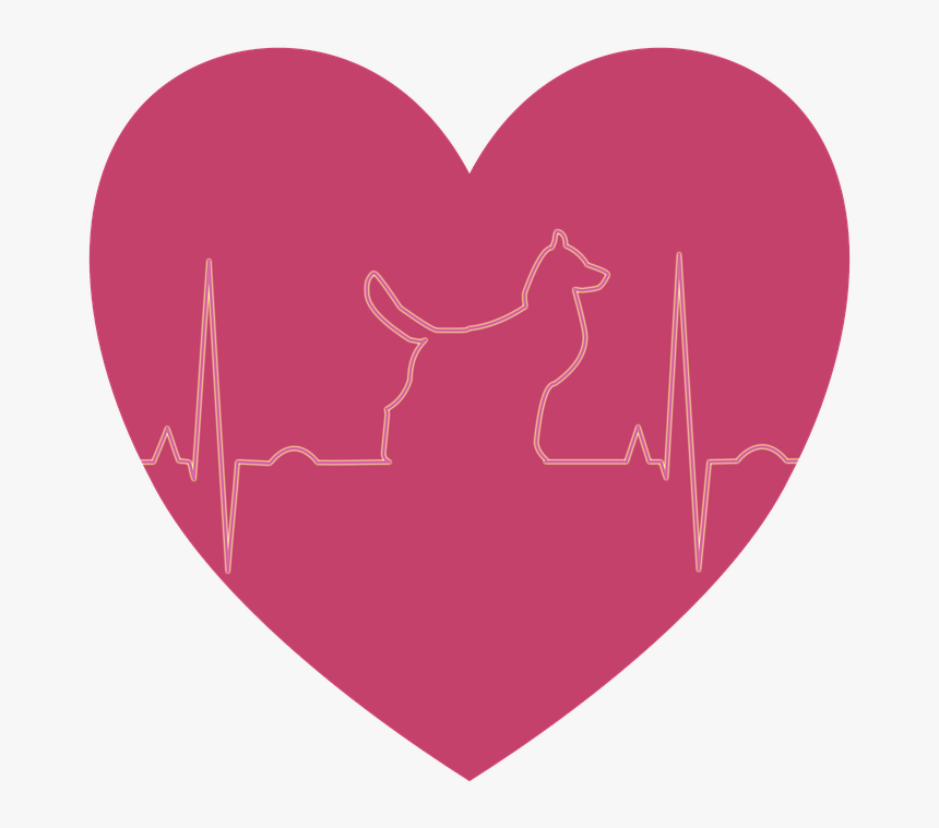 Ecg, Heart, Electrocardiogram, Graphics, Love, Dog - Hund Und Herz Ekg, HD Png Download, Free Download