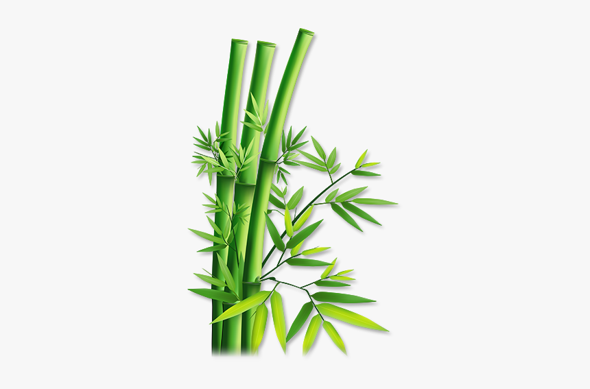 Green Bamboo Png Download - Bamboo Transparent, Png Download, Free Download