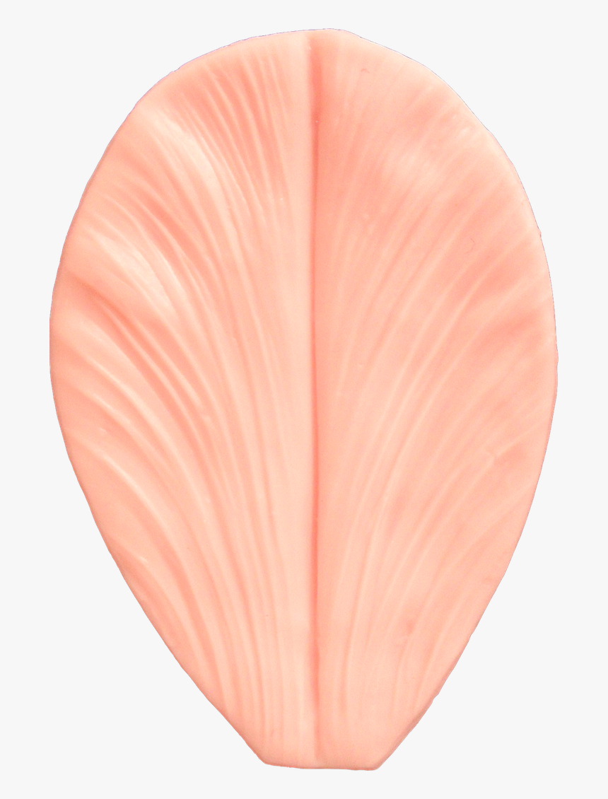 Anthurium, HD Png Download, Free Download