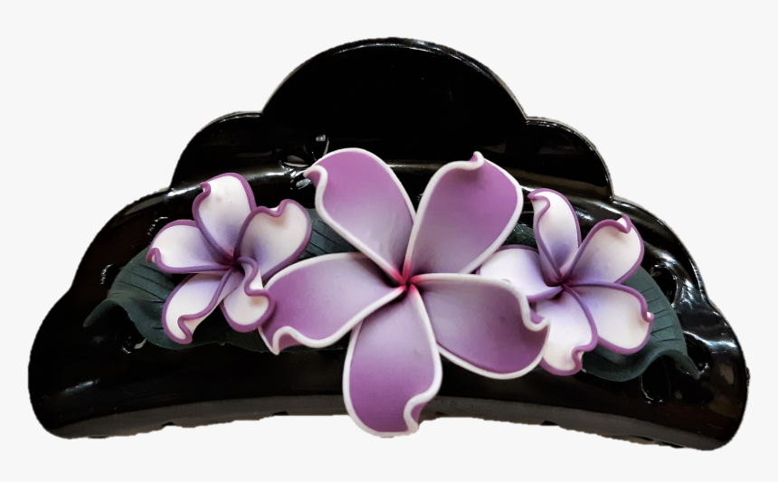 Jennibeans Hair Clip - Moth Orchid, HD Png Download, Free Download