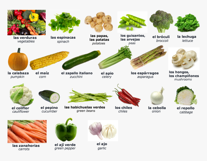 Nombres De Verduras Con B, HD Png Download, Free Download