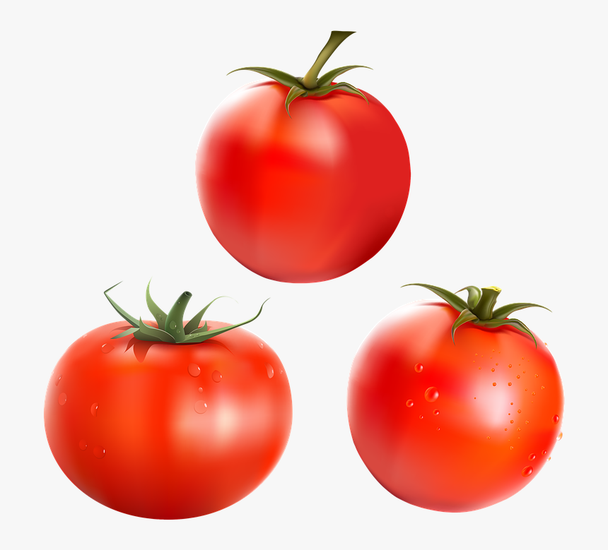 Tomates, Alimentos, Verduras, Cosecha, Nutrición - Plum Tomato, HD Png Download, Free Download