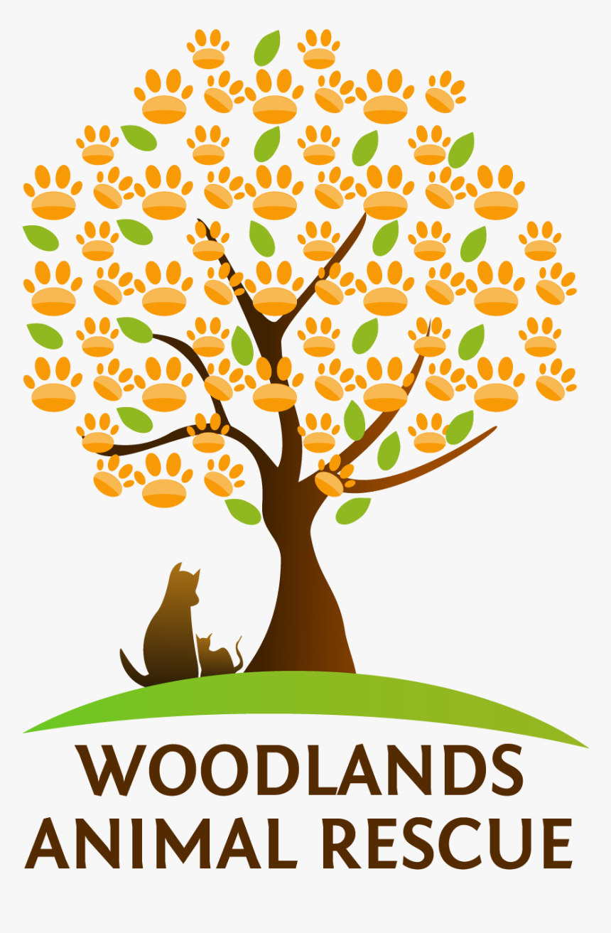 Woodland Animals Png, Transparent Png, Free Download