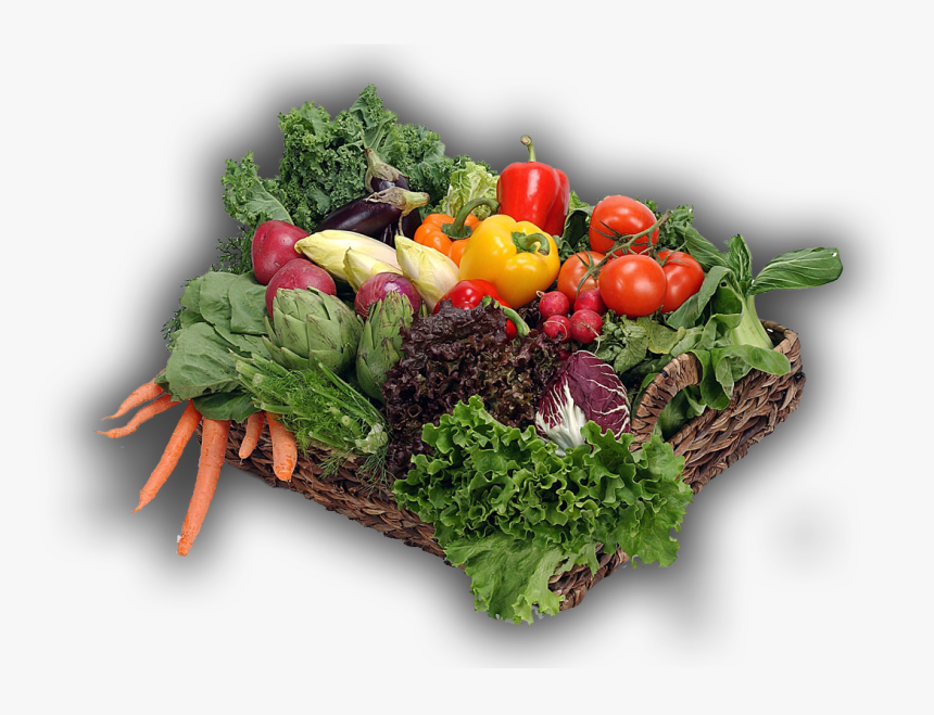 Vegetables In Garden Png, Transparent Png, Free Download