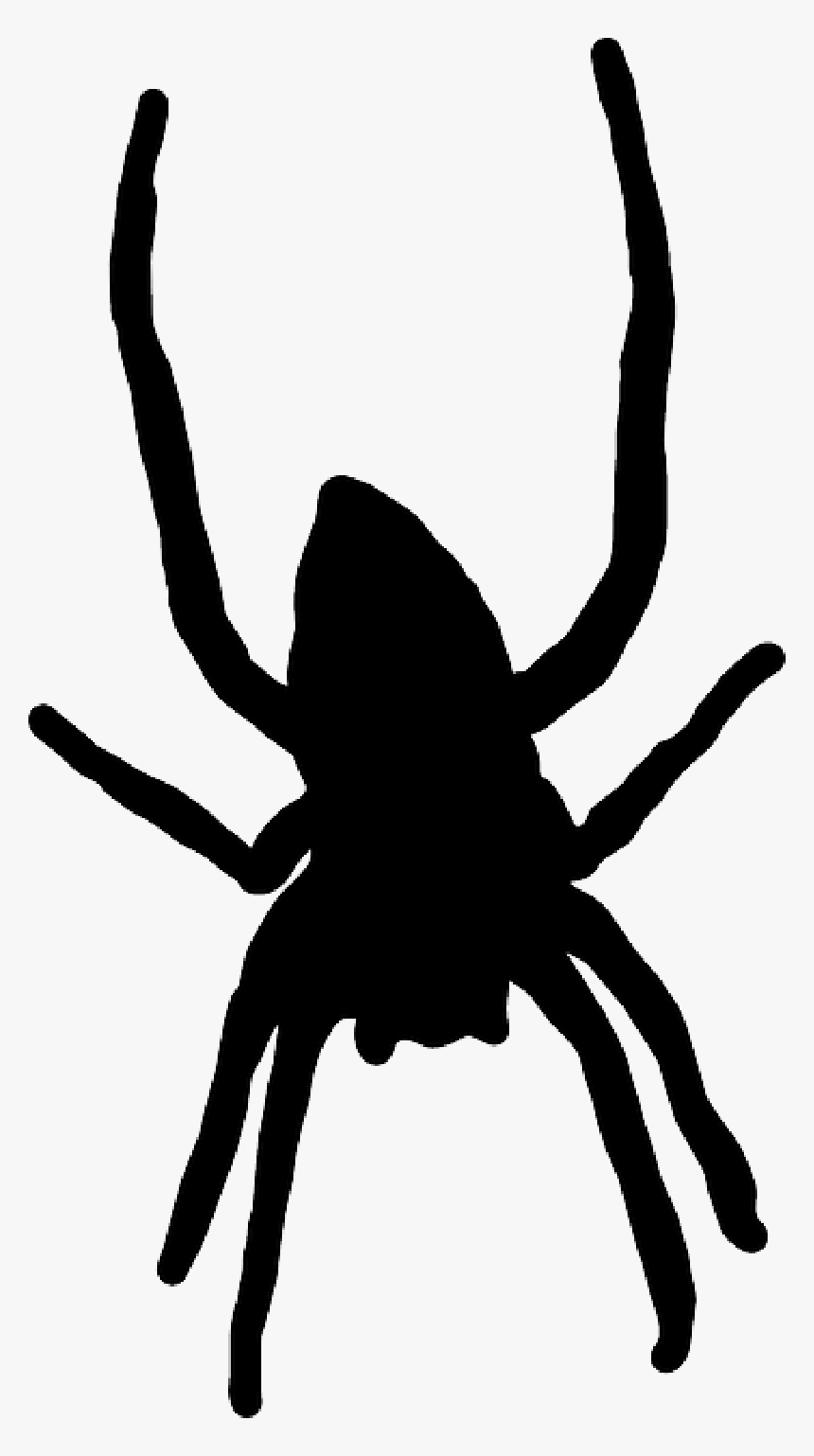 Silhouette, Spider, Web, Long, Legs, Arachnid Public - Png Spider Cartoon, Transparent Png, Free Download