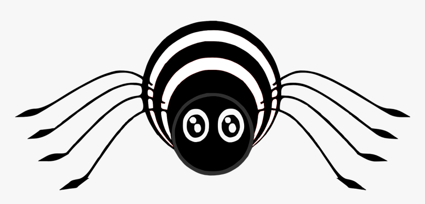 Cartoon Spider Png, Transparent Png, Free Download