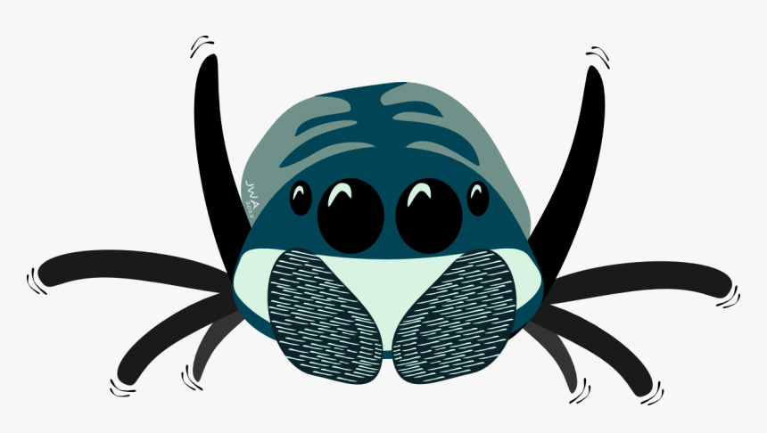 Cartoon Jumping Spider, HD Png Download, Free Download