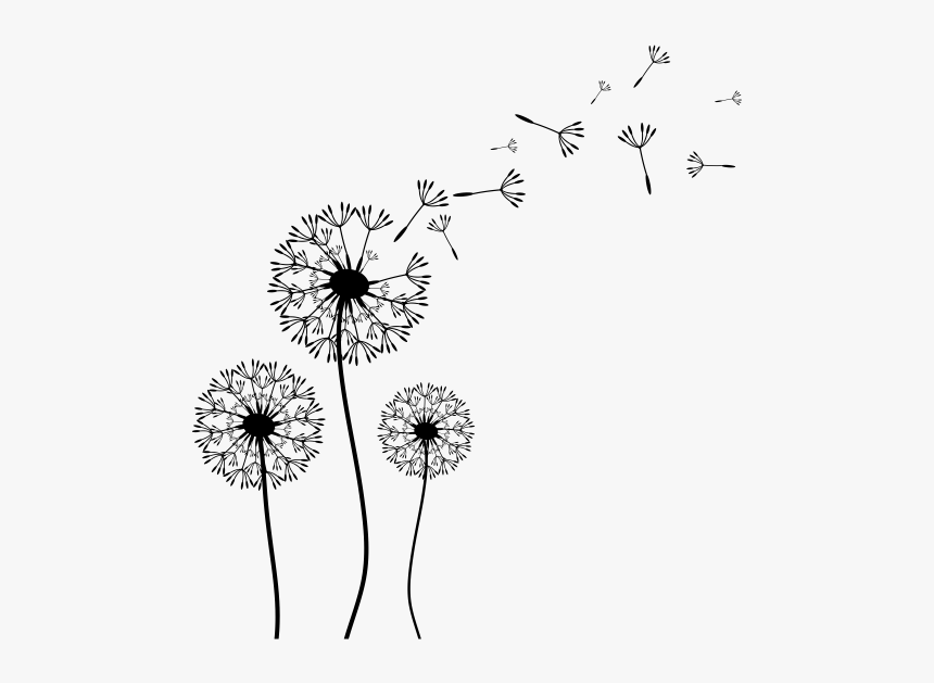 Dandelion Clipart Drawn - Flor Dente De Leão Desenho Png, Transparent Png, Free Download