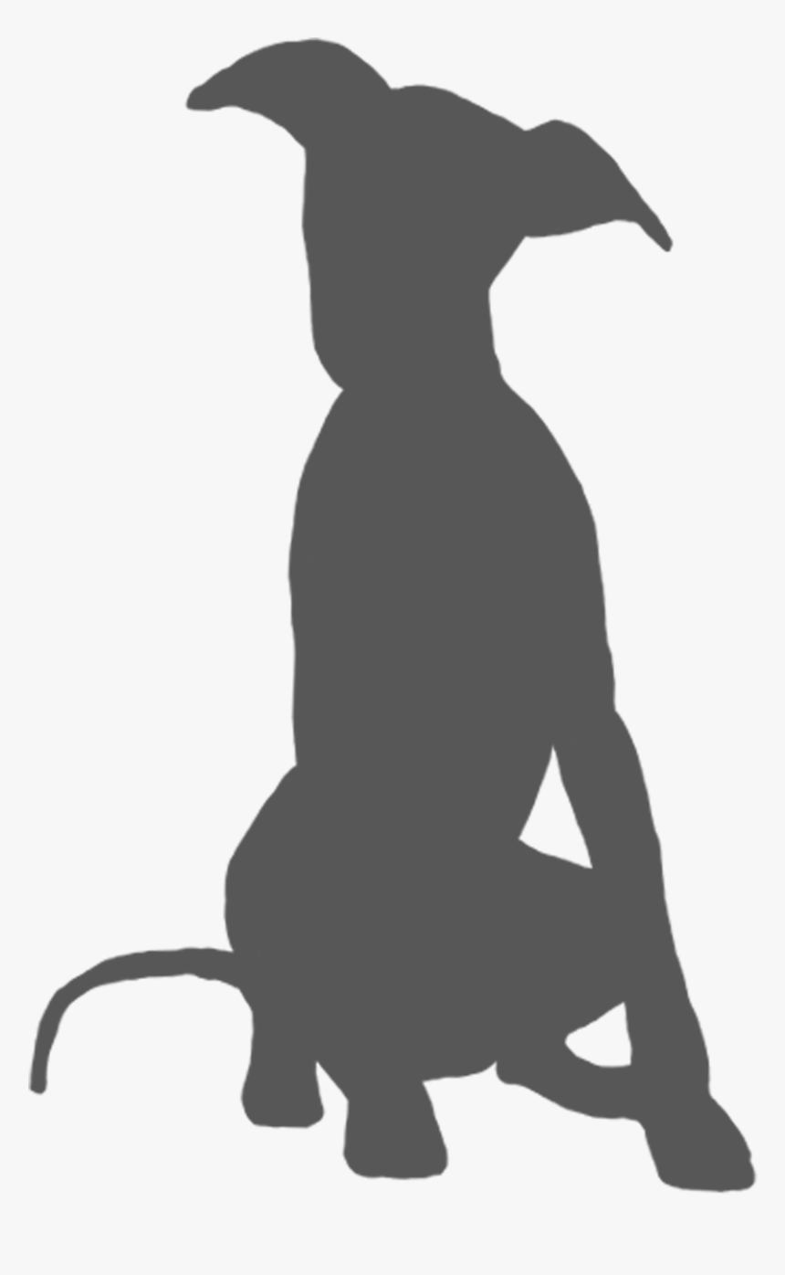 Italian Greyhound Whippet Spanish Greyhound Lurcher - Spanish Greyhound, HD Png Download, Free Download