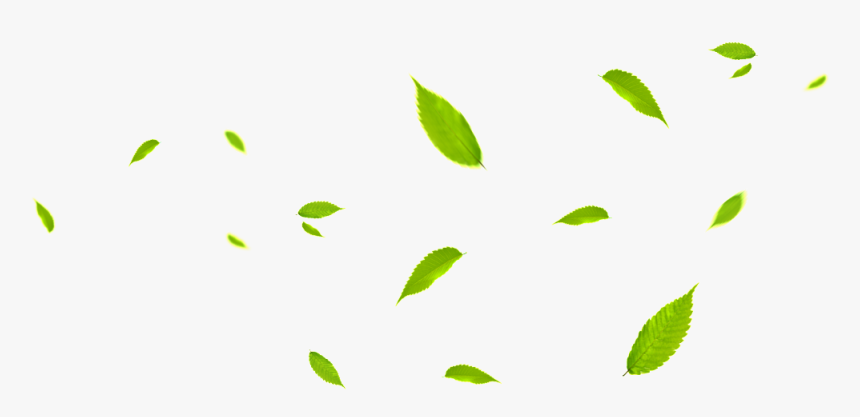 Png De Folha De Folha Verde - Green Leaves Falling Png, Transparent Png, Free Download