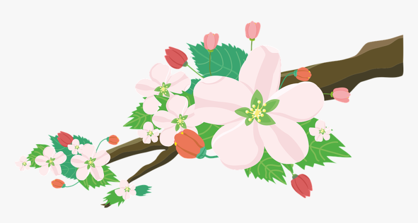 Apple, Blossoms, Flowers, Nature, Fruit Tree, Spring - Flores E Frutos Png, Transparent Png, Free Download