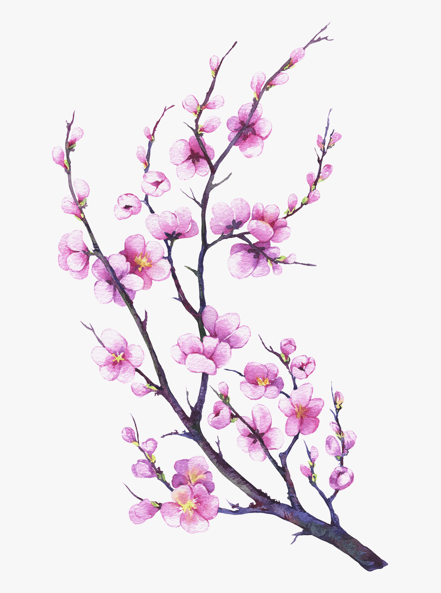 Made From Eggs, Oil, Water, Flour And Salt - Cherry Blossom, HD Png Download, Free Download