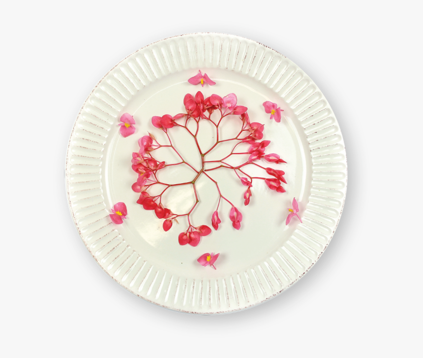 Plate, HD Png Download, Free Download