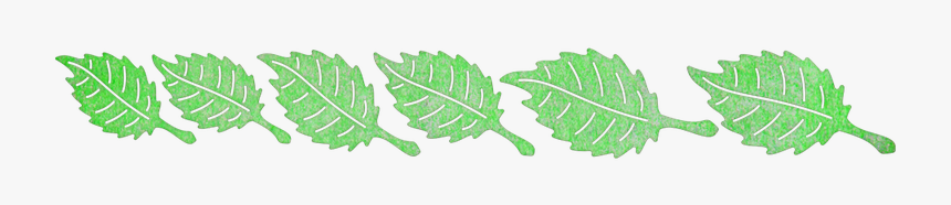 Green Strip Leaves, HD Png Download, Free Download